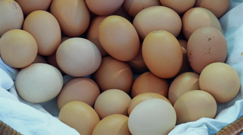 jajka, właściwości jajek, jajka a zdrowie, jajka a cholesterol